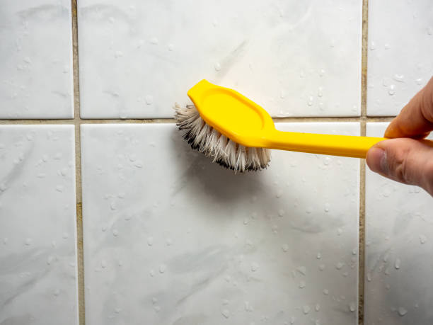 Best Mold Remediation Services  in Melville, RI