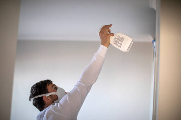 Mold Testing and Removal in Melville, RI