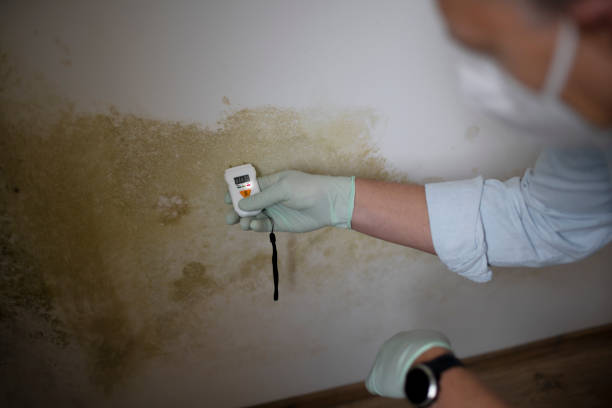 Best Crawl Space Mold Removal  in Melville, RI