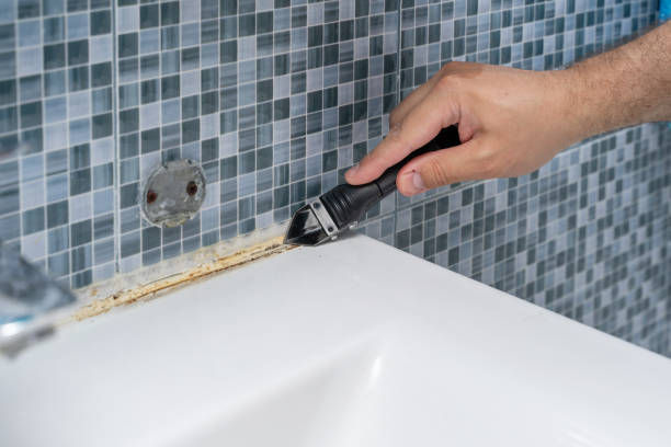 Best Black Mold Removal  in Melville, RI