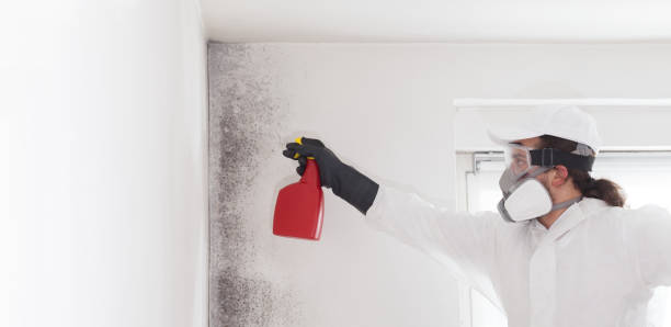 Best Water Damage Restoration  in Melville, RI