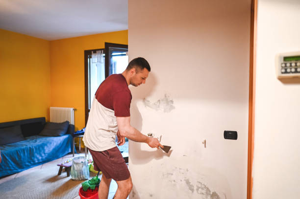 Reliable Melville, RI Mold Removal Solutions